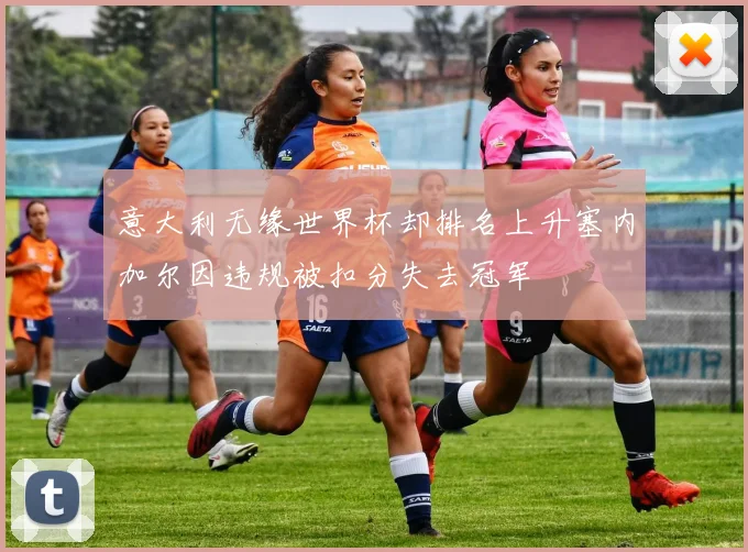 意大利无缘世界杯却排名上升塞内加尔因违规被扣分失去冠军